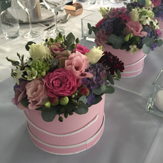 2023_Familienfeste_pink_rosa