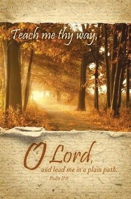 Lord if you do not guide us we are lost souls