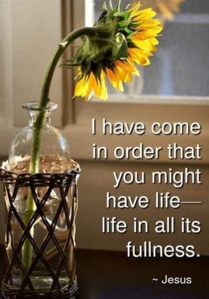LIFE IN ALL ITS FULNESS