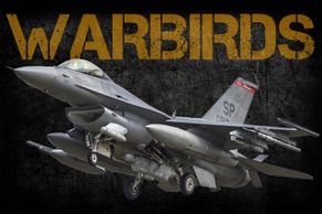 WARBIRDS