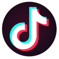 compteur tiktok en temps réel