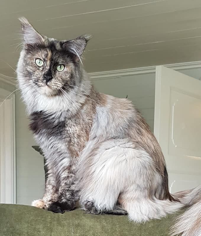 Xhessika 1,5 year