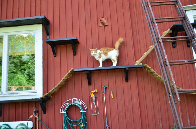 wilma utforskar nya sovplatser