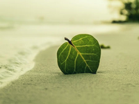 bioresonance desensitization