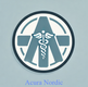 Acura Nordic 