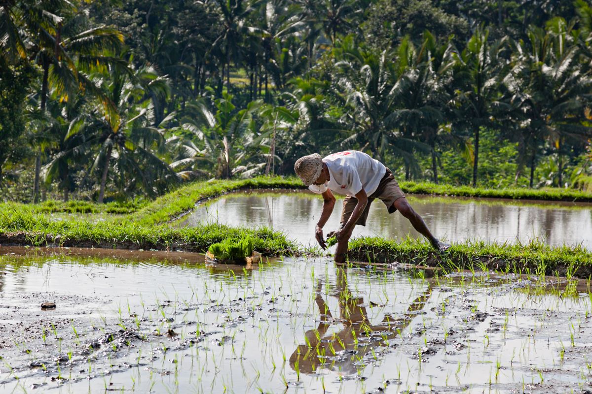 Bali website-6844