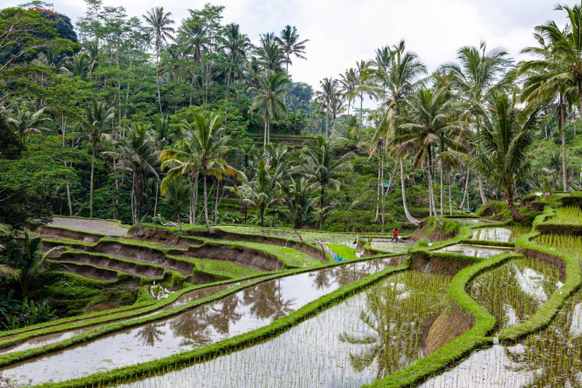 Bali website-6866