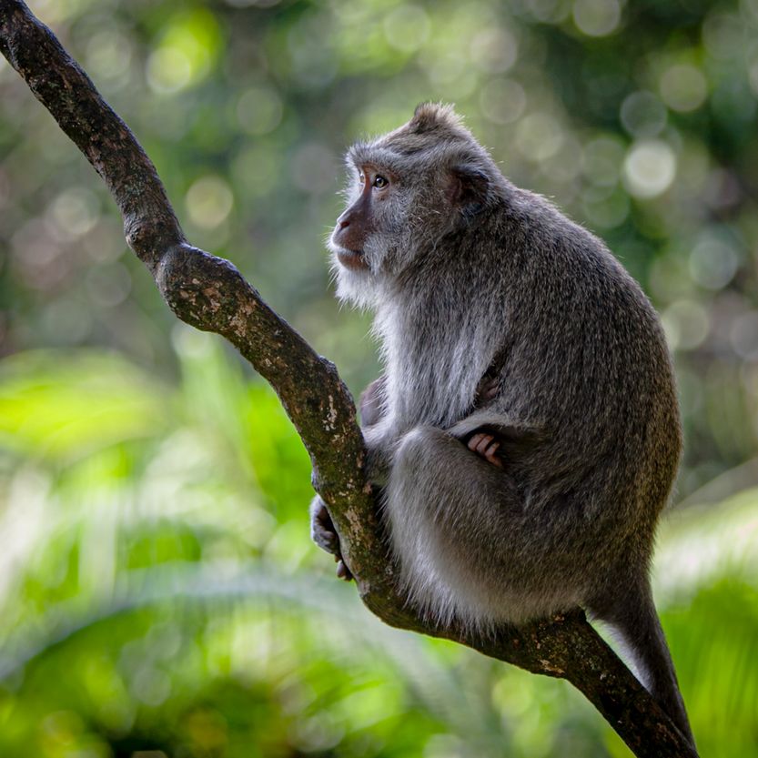 Bali website-6920