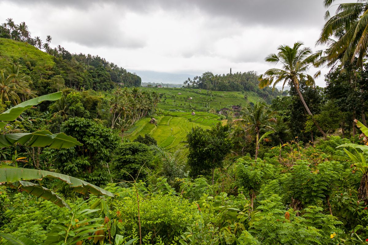 Bali website-6961