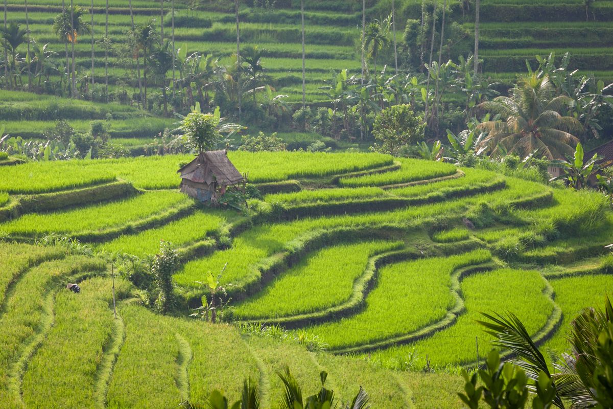 Bali website-6999
