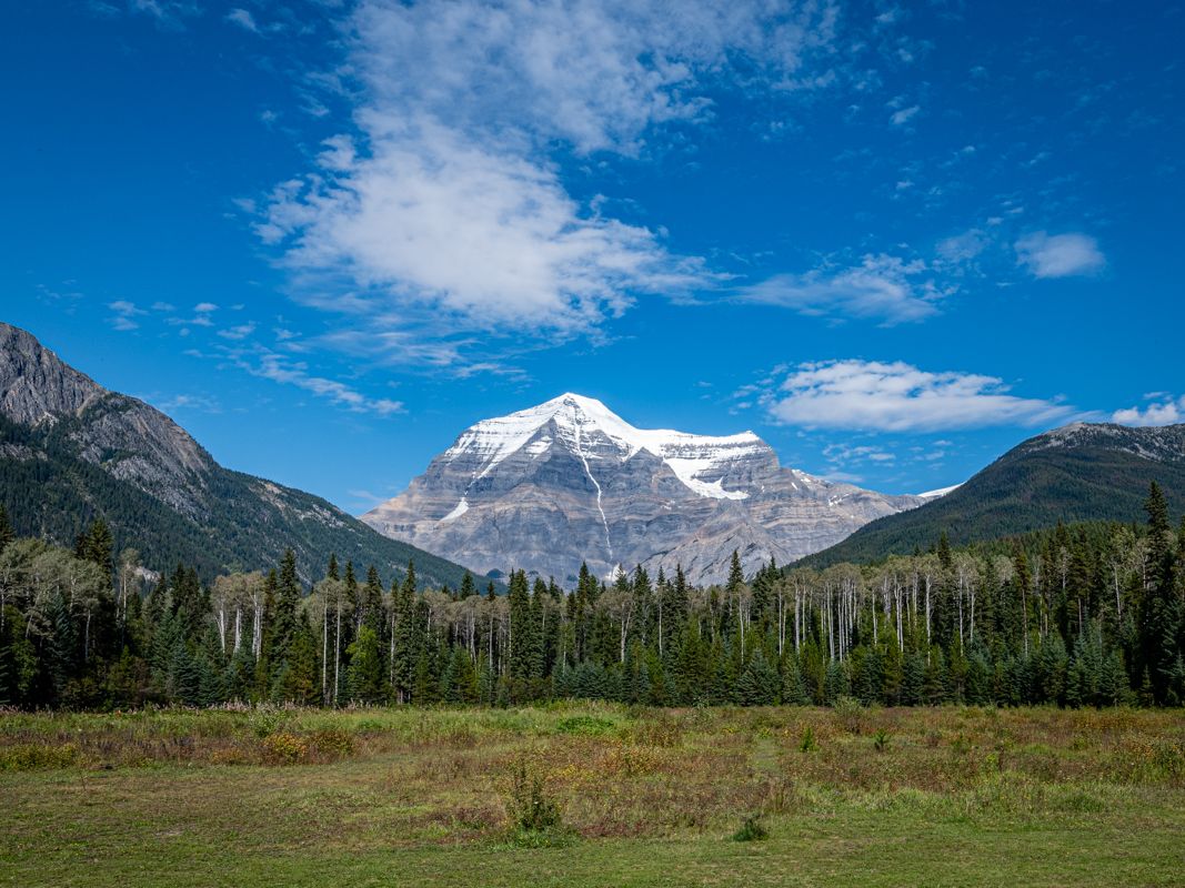 Canada website-3869