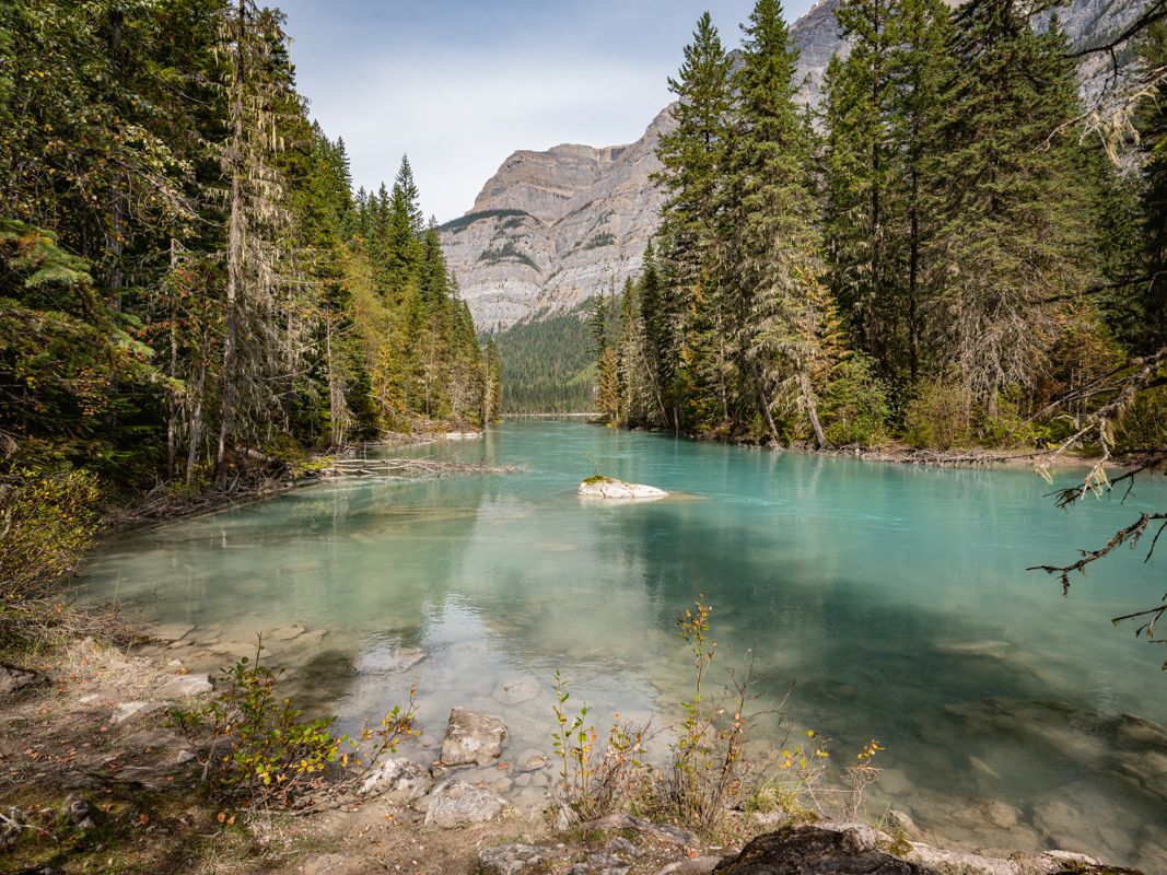 Canada website-3888