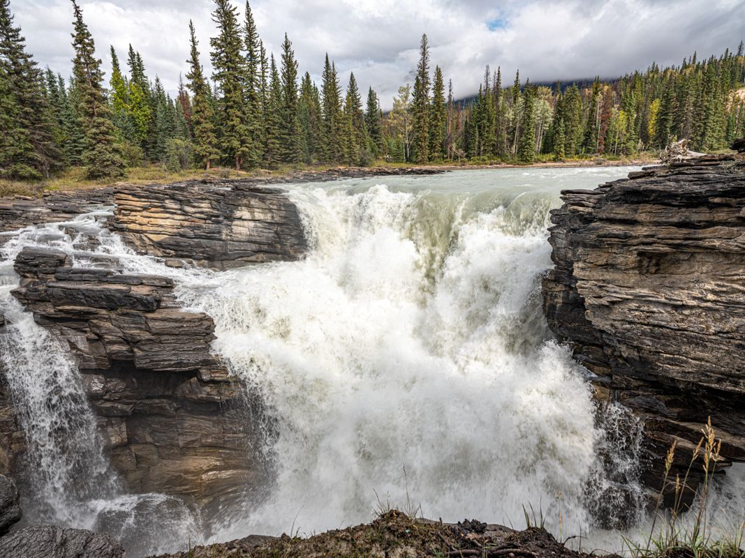 Canada website-4022