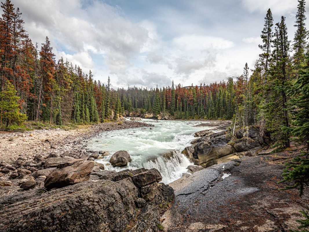 Canada website-4038