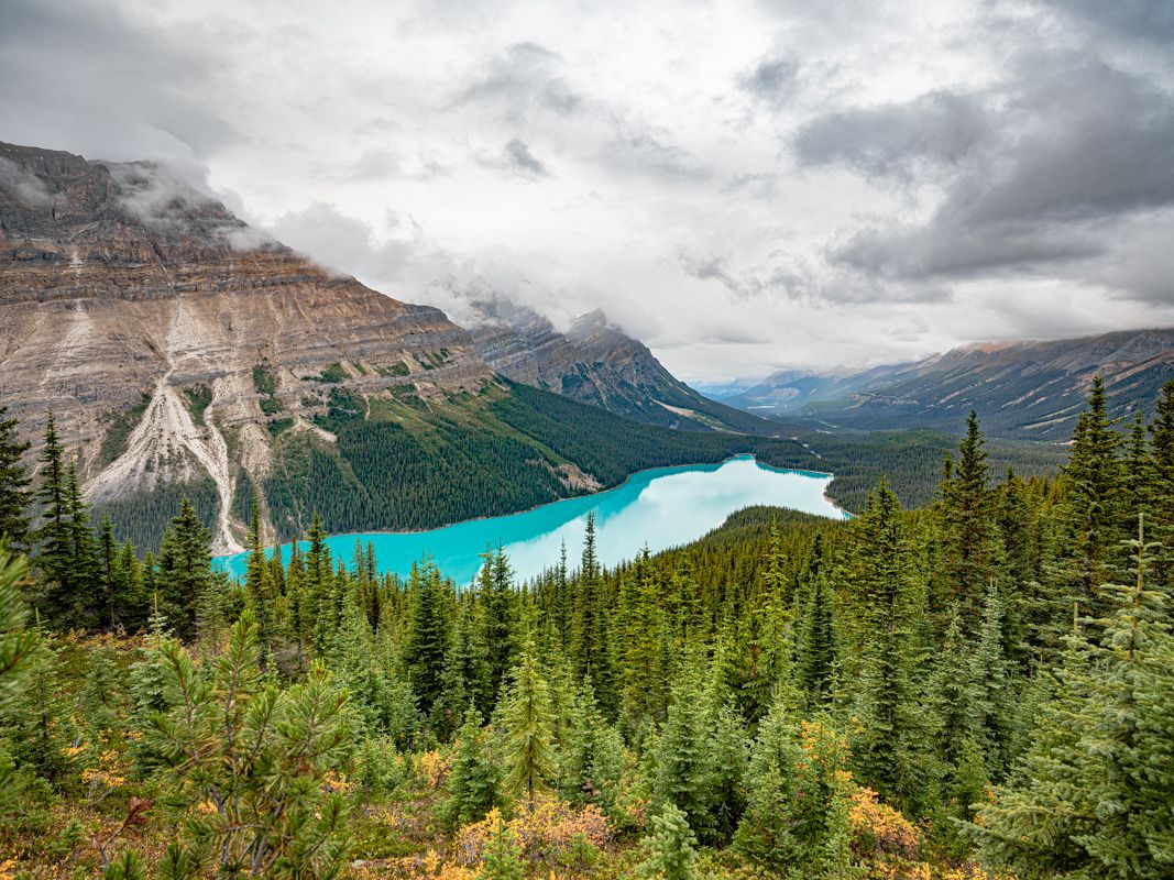 Canada website-4117