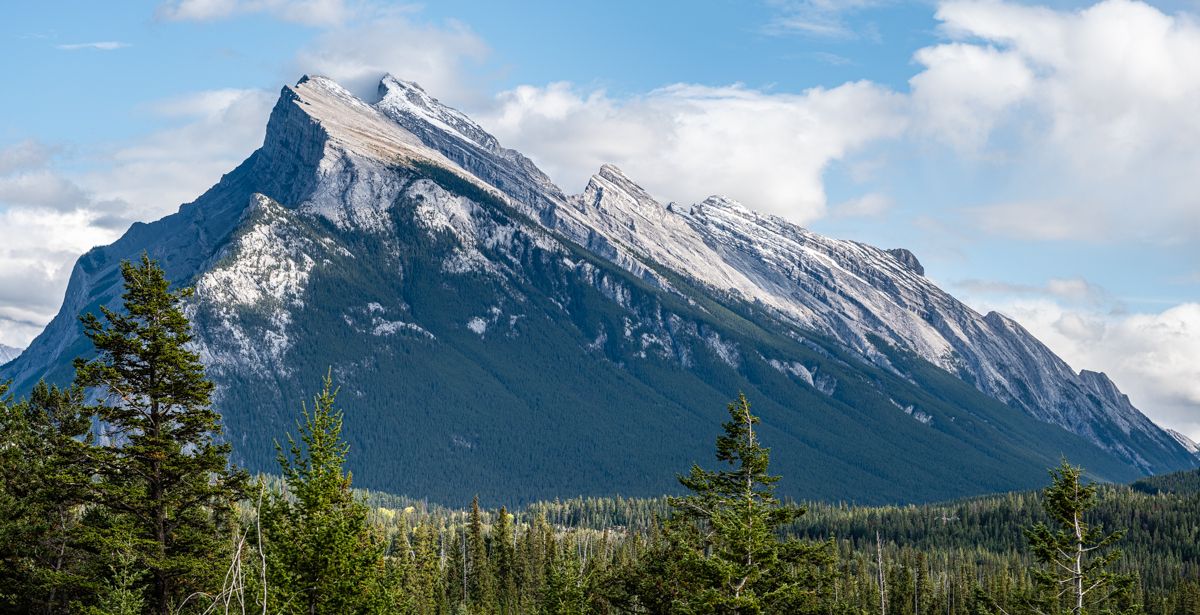 Canada website-4191