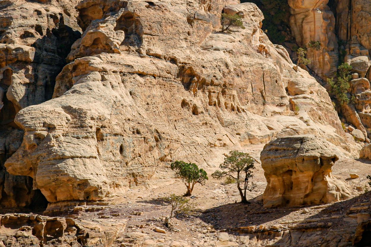 Jordanie-0330