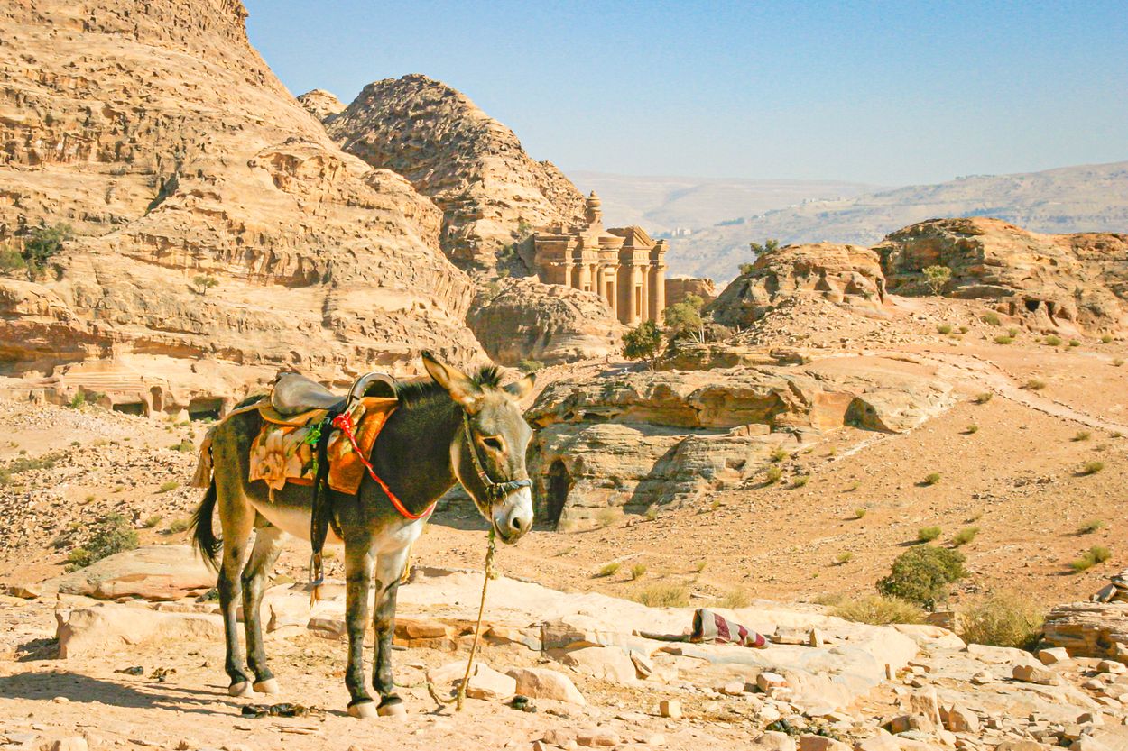 Jordanie-0357