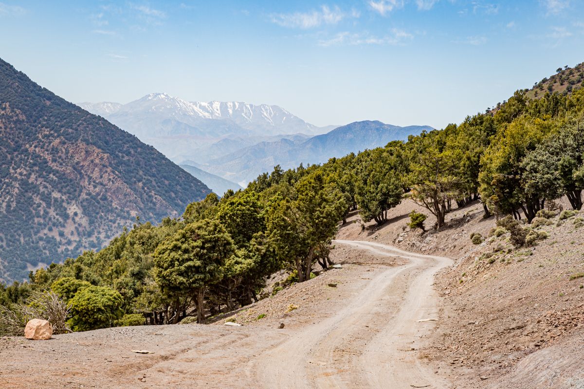 Marokko Toubkal website-6092