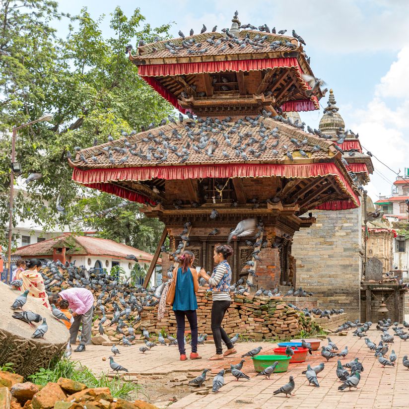 Nepal website-8306