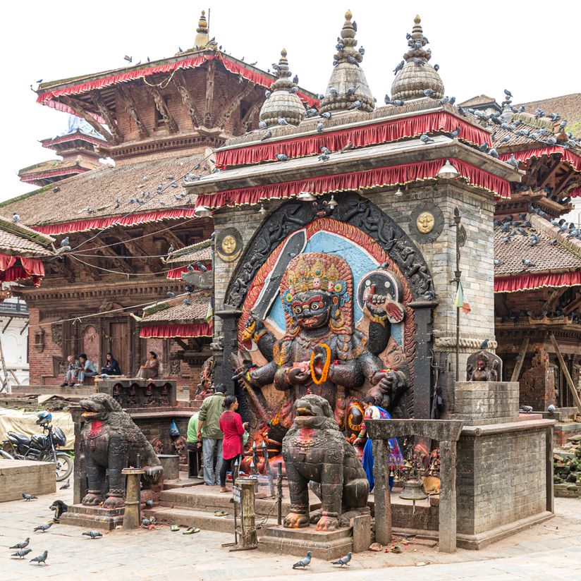 Nepal website-8311