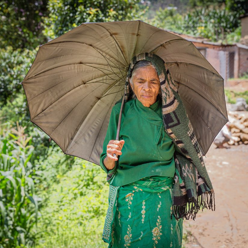 Nepal website-8553