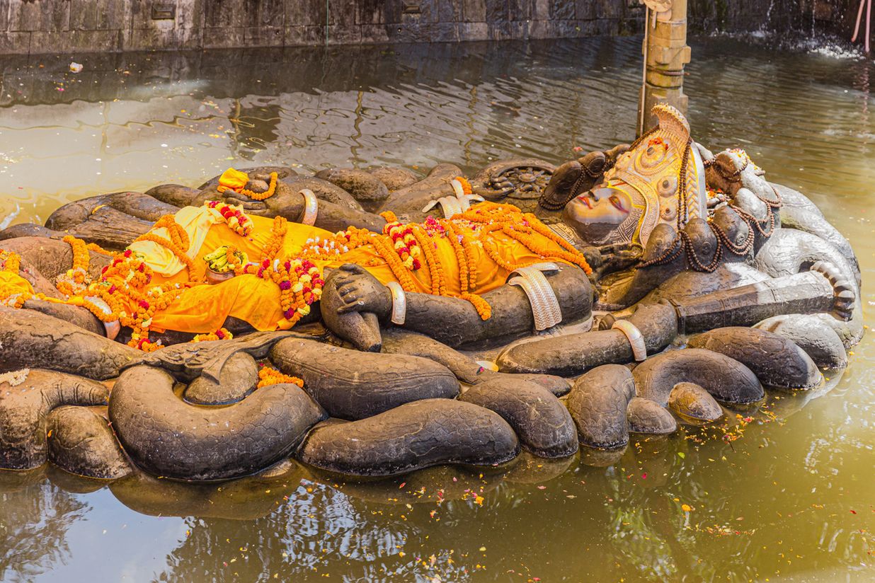 Nepal website-9205