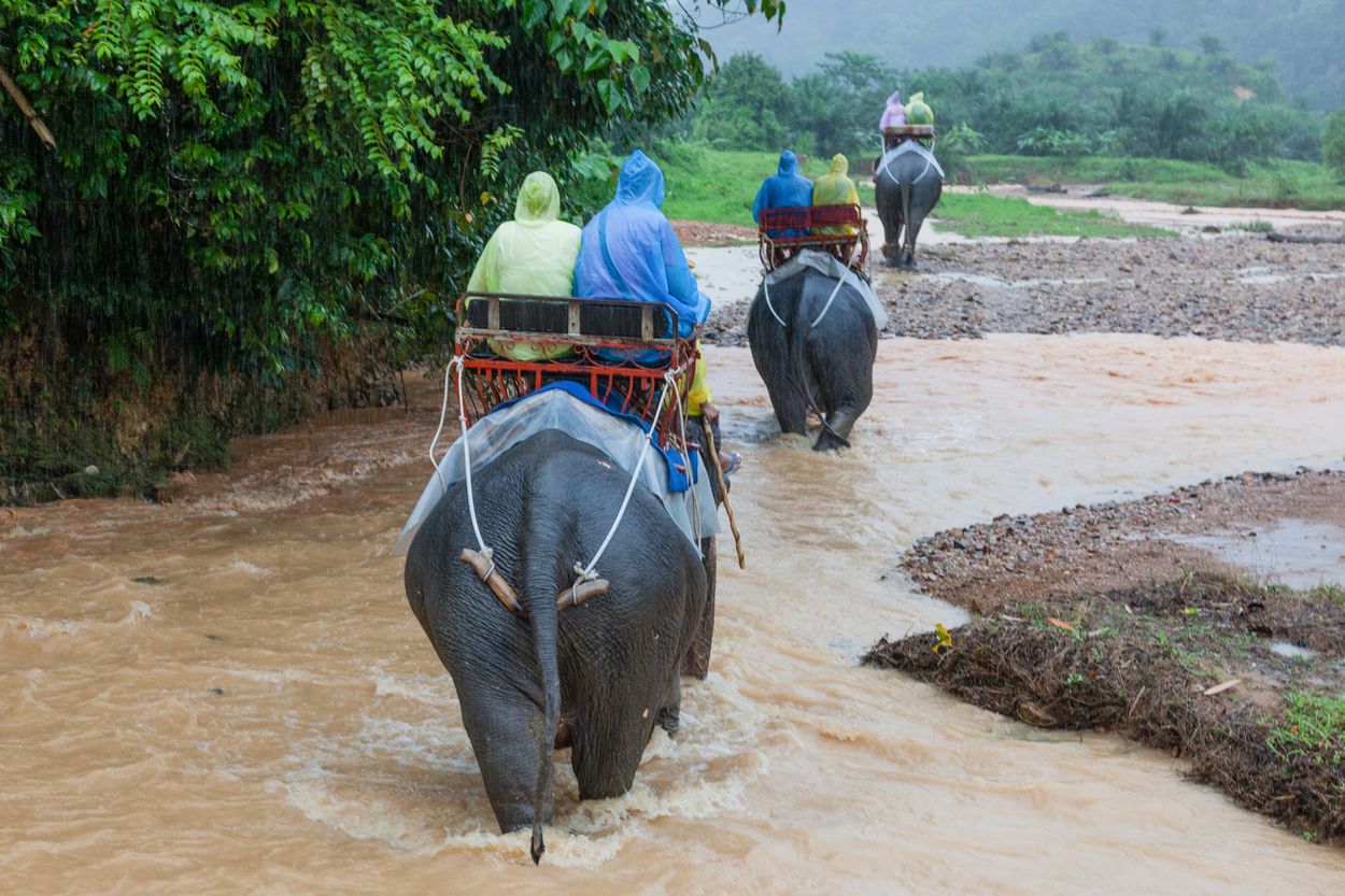 Thailand website-4582