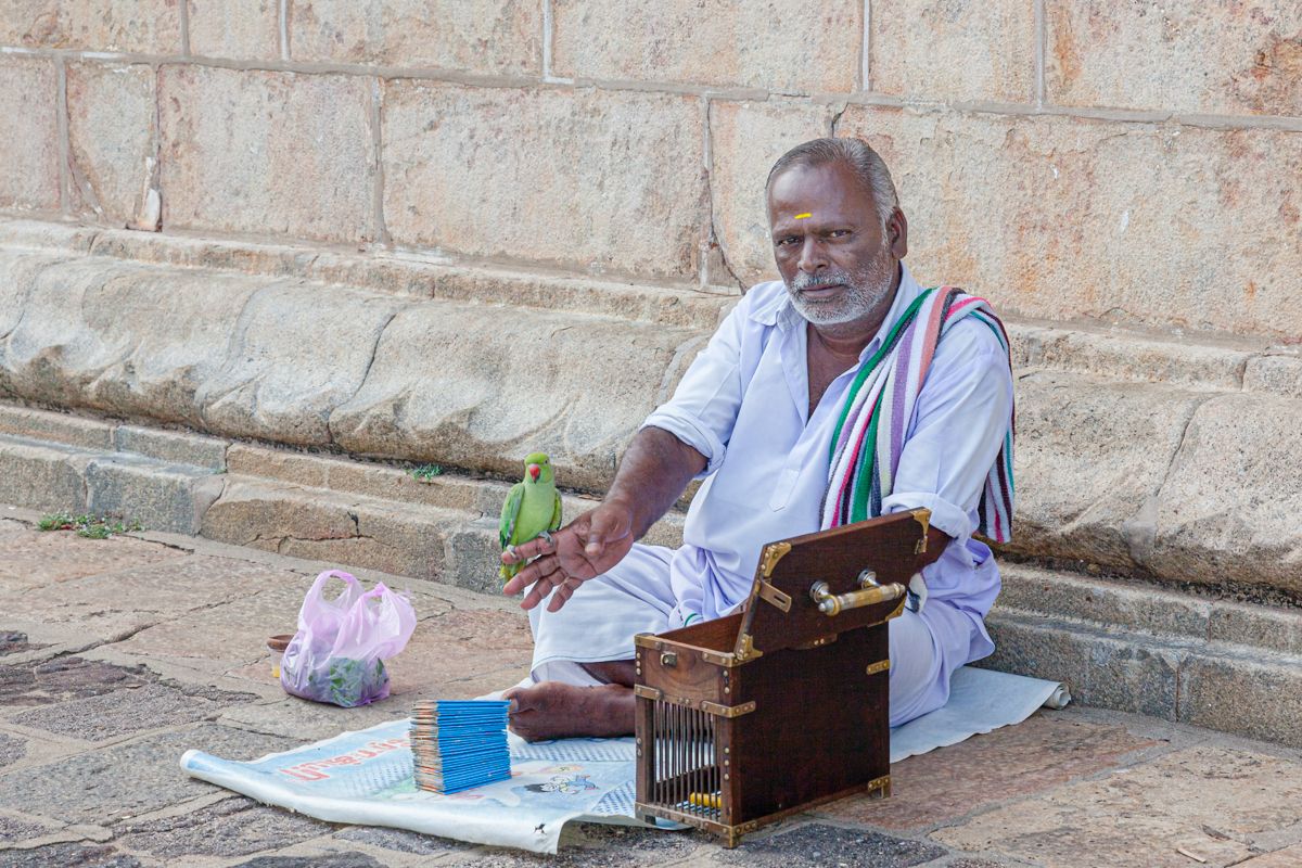 Zuid India website-1314