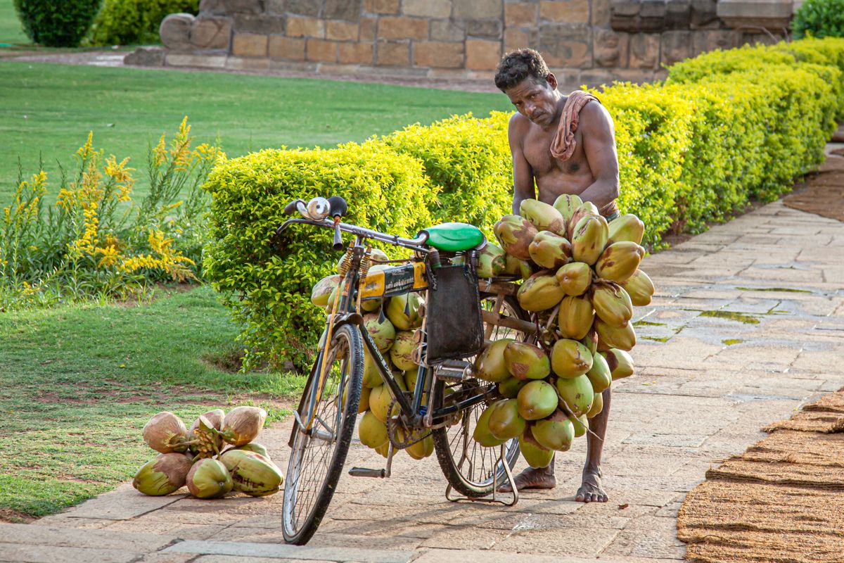 Zuid India website-1318