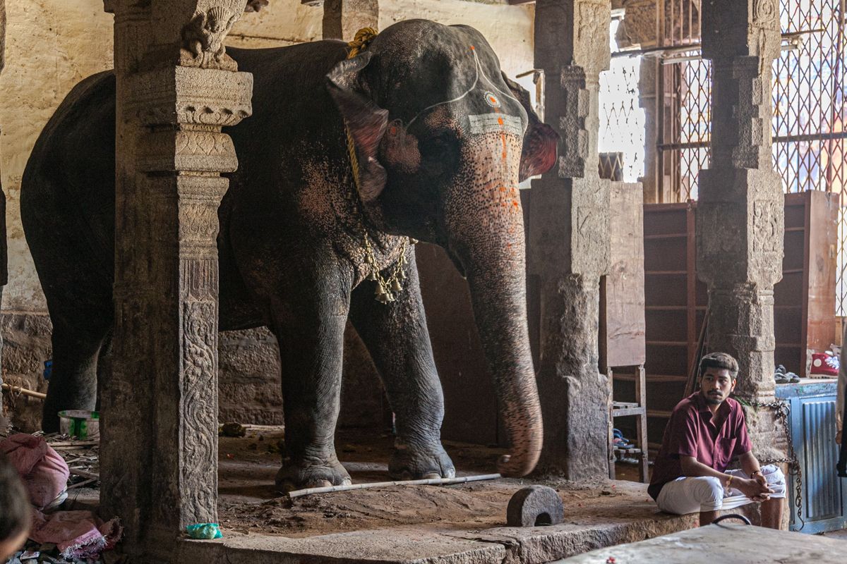 Zuid India website-1367