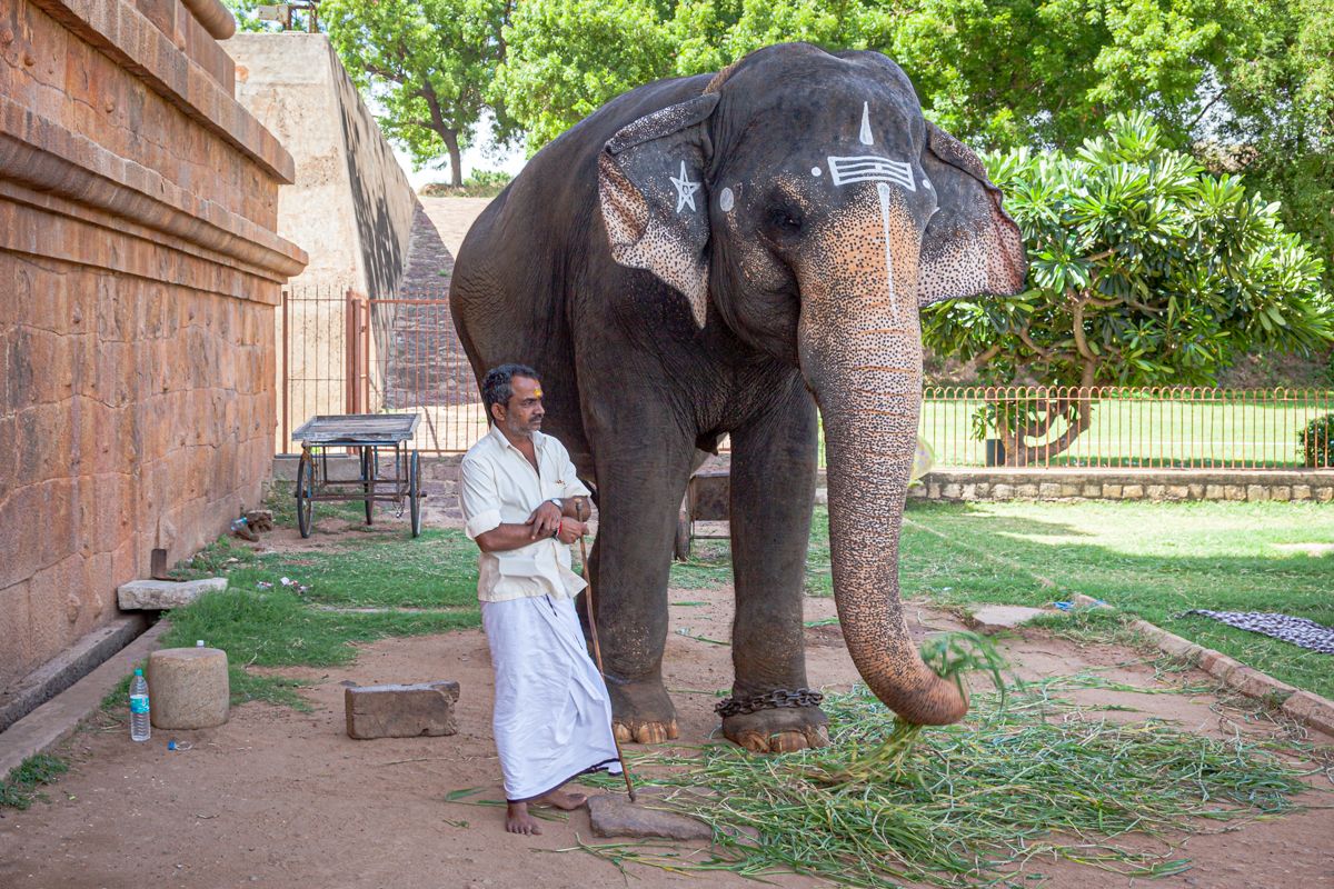 Zuid India website-1476