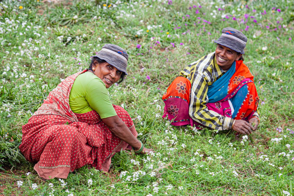 Zuid India website-2176
