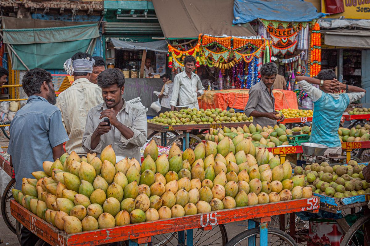 Zuid India website-2190