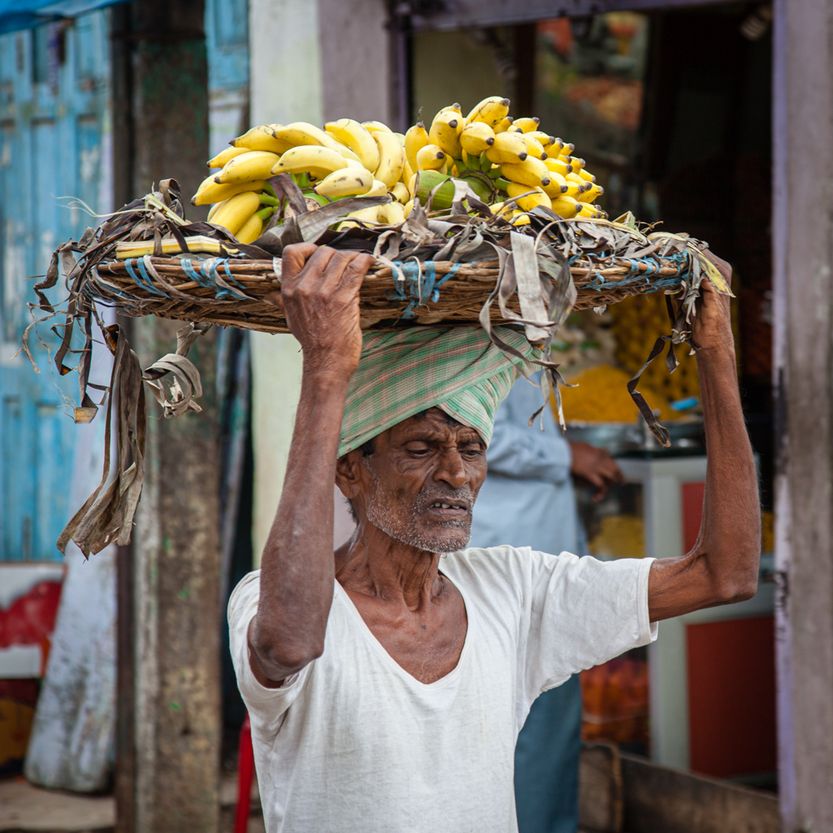 Zuid India website-2195