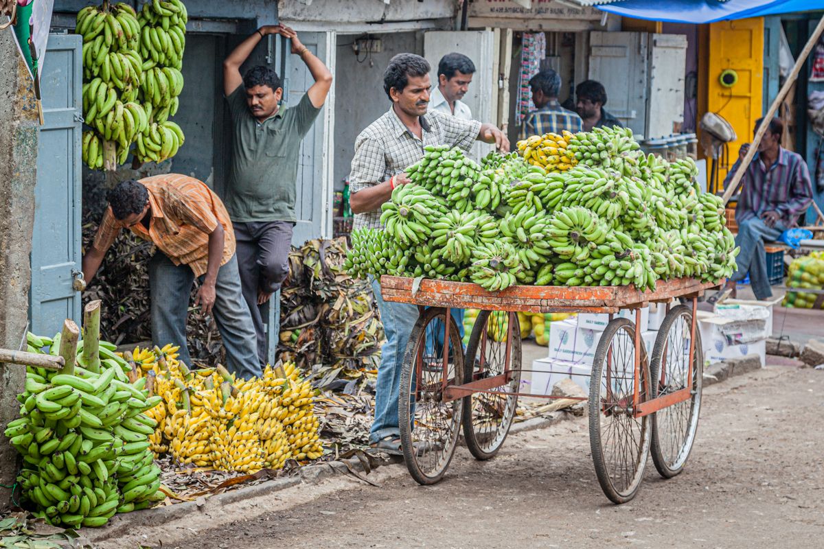 Zuid India website-2201