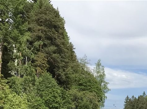 Kuva PV, Imatran koski