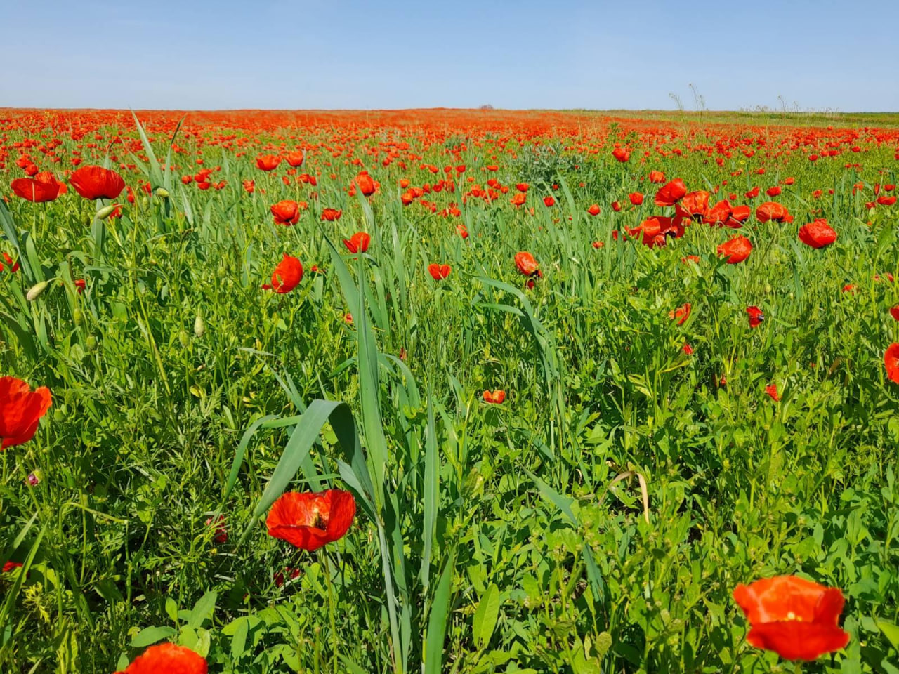 4 Road to Kanshengel