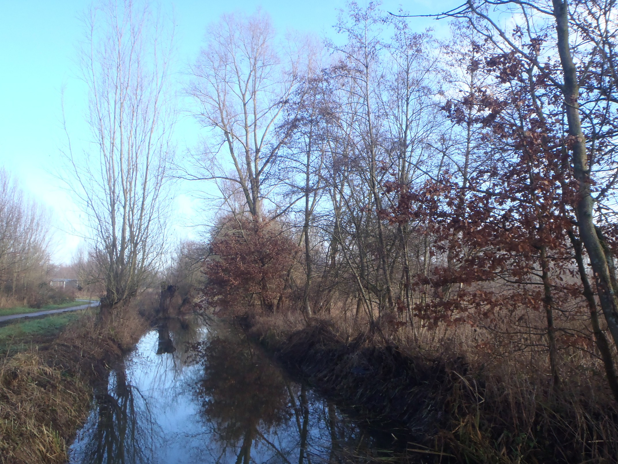 De Pinte - 09-01-2021 (19)