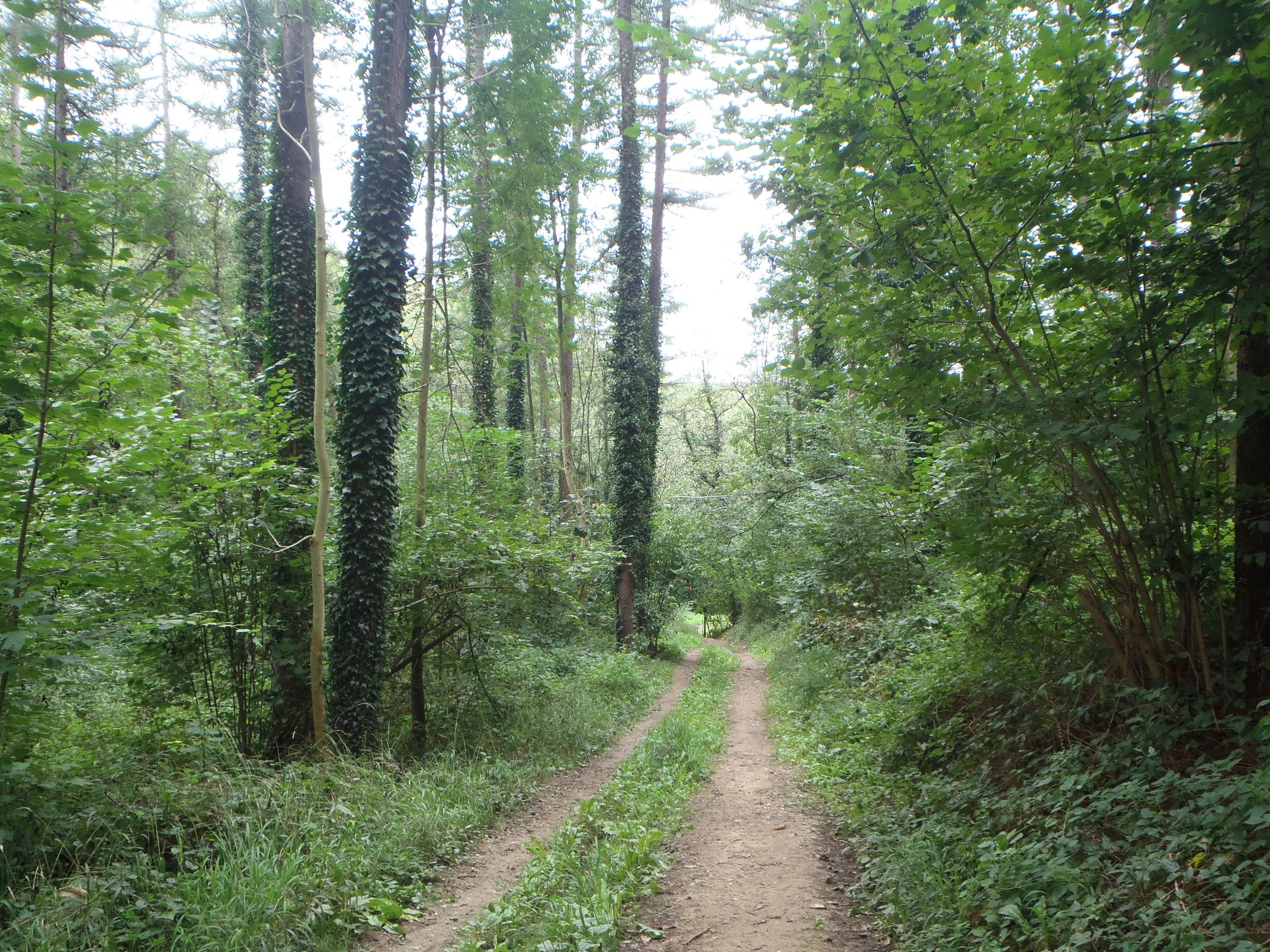 Wanze 11-09-2021 (3)