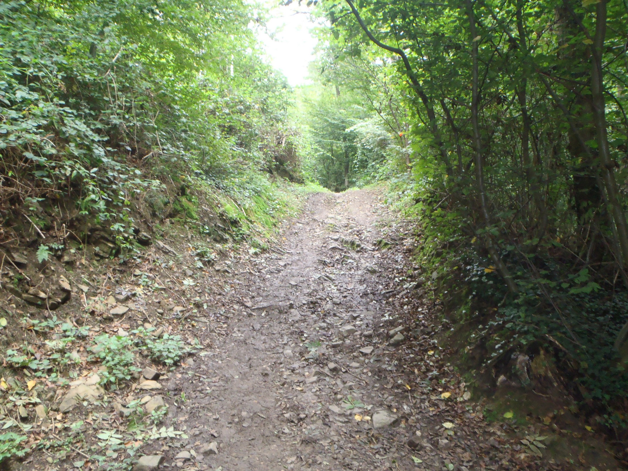 Wanze 11-09-2021 (6)