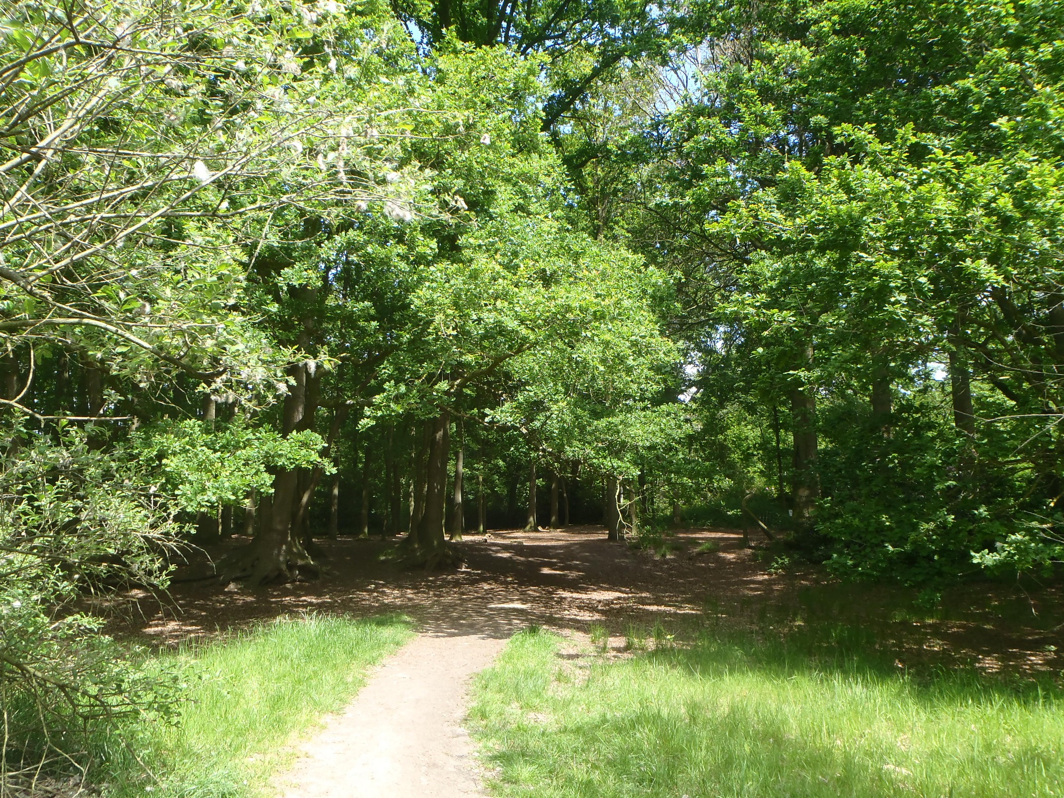 30-05-2023 - Assebroek (1)