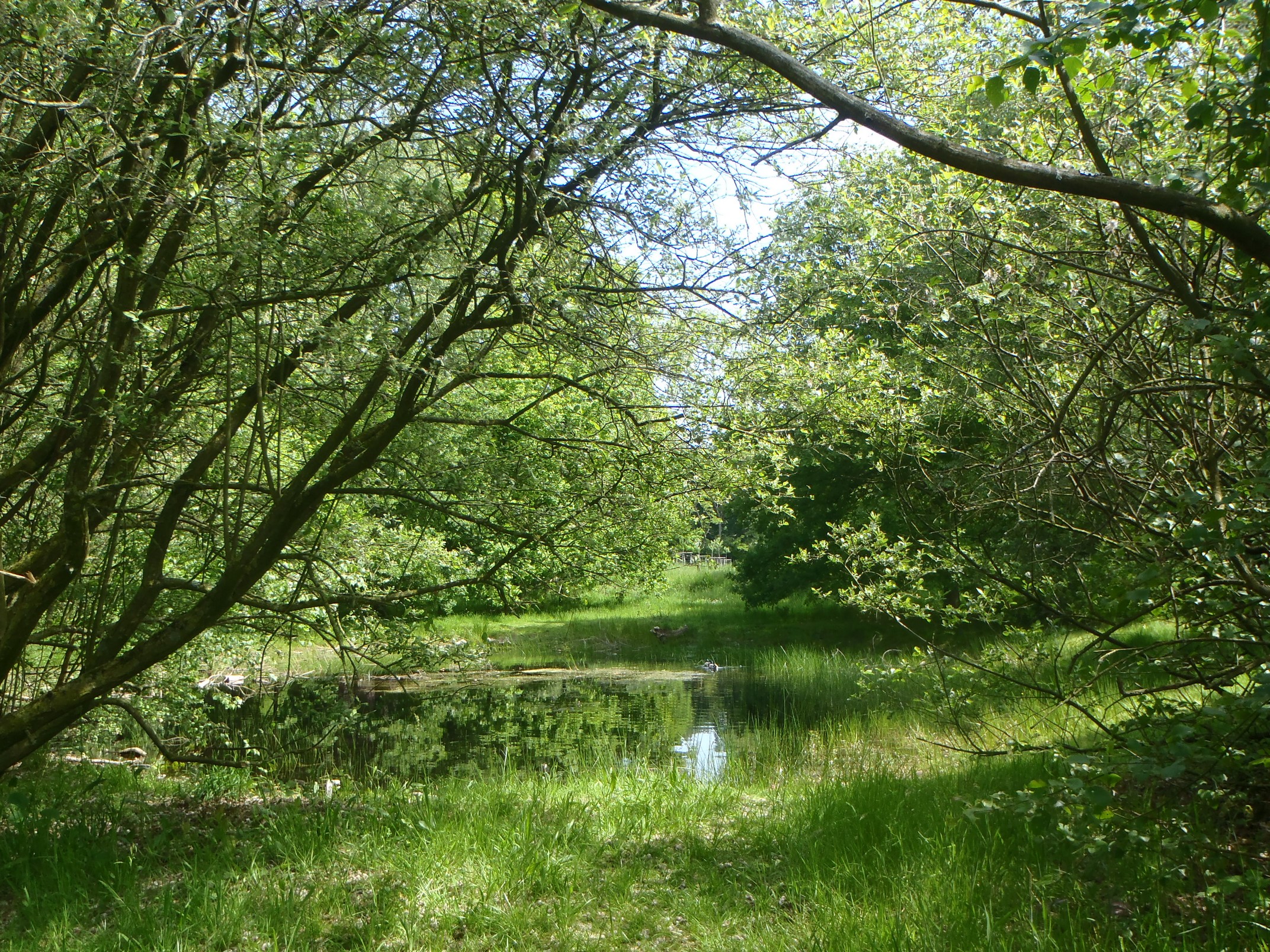 30-05-2023 - Assebroek (2)