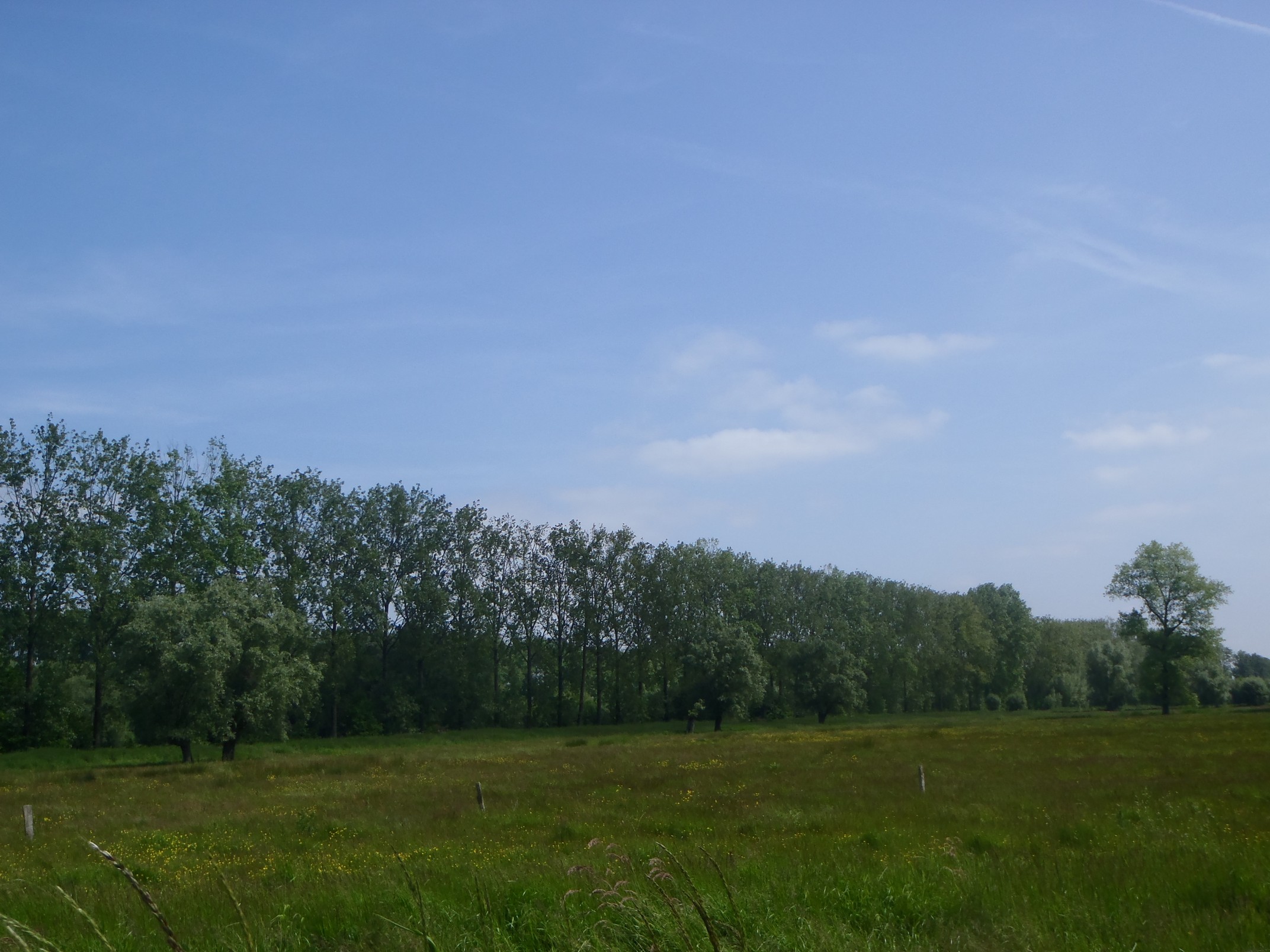 30-05-2023 - Assebroek (3)