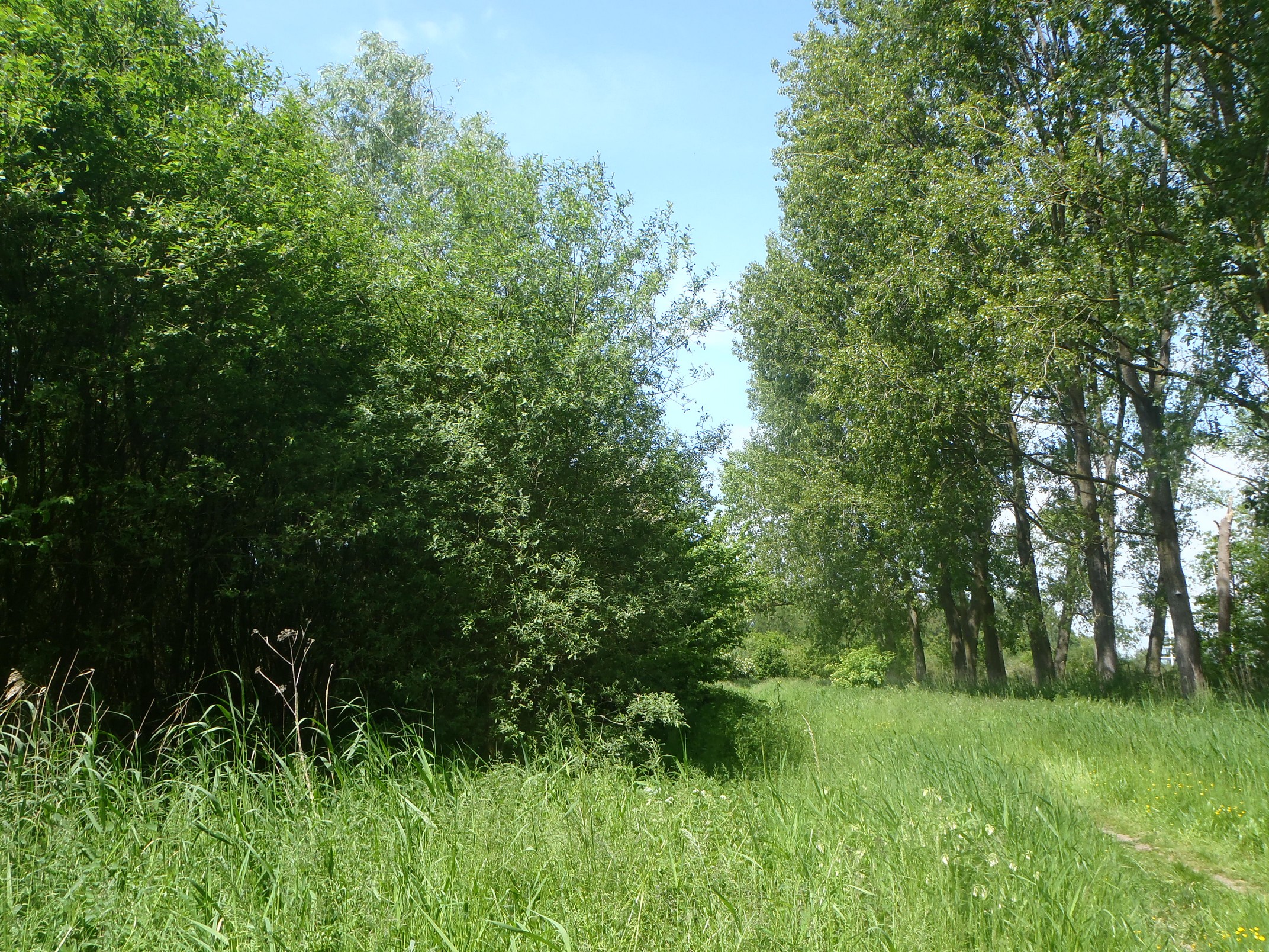 30-05-2023 - Assebroek (4)