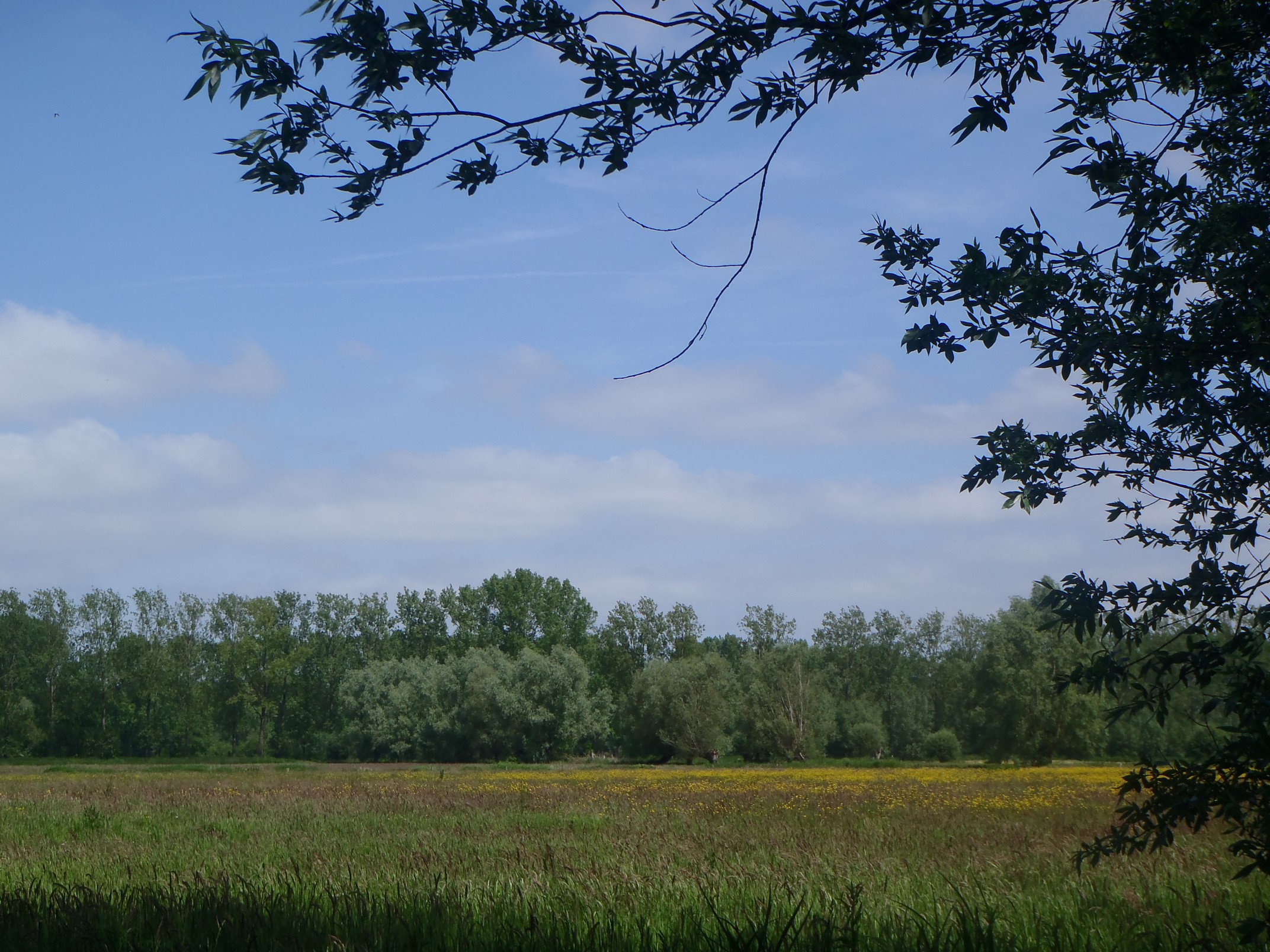 30-05-2023 - Assebroek (7)