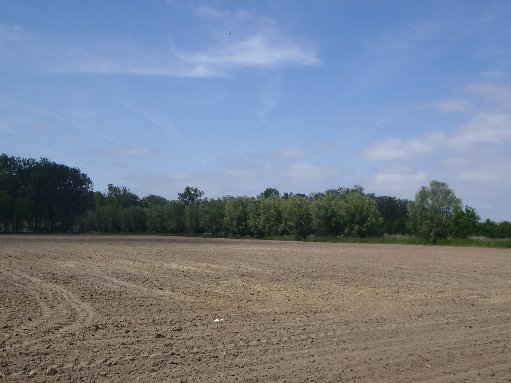 30-05-2023 - Assebroek (9)