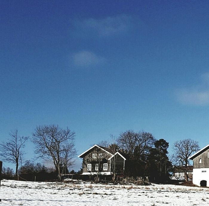 LANDBRUK: Anders-Stigsrud fra syd. Fotograf: Advokat Ole Klanderud.