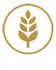gluten