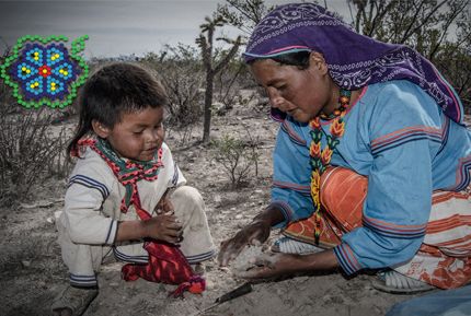 Peyote en el centro holistico Afinando el Alma